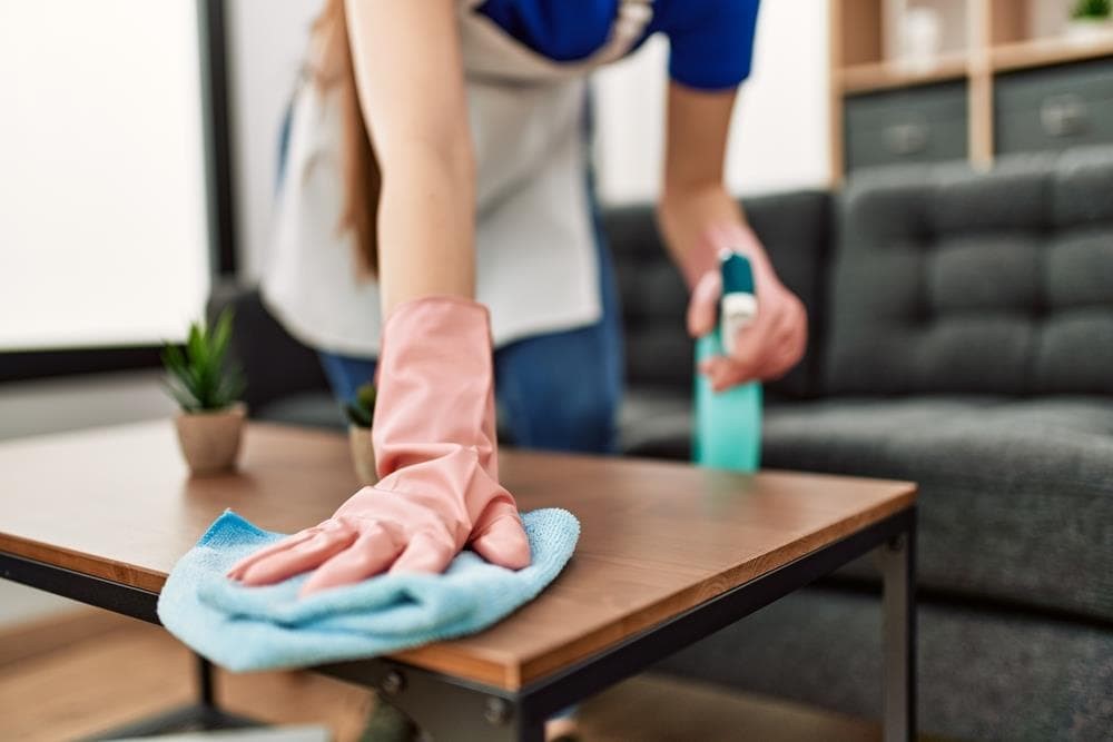 Limpieza para el hogar: productos de limpieza para dejar la casa impecable
